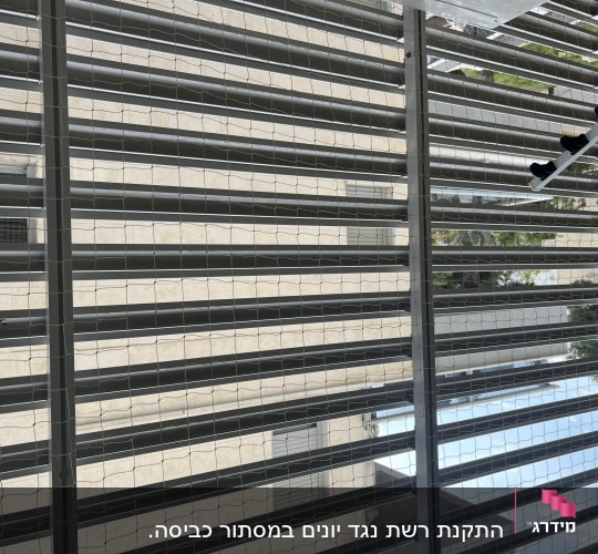 רשת מתכת על חלון למניעת כניסת יונים
